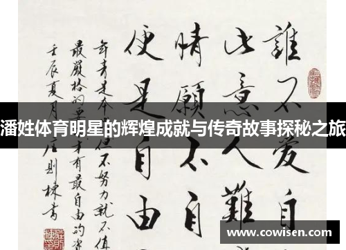 潘姓体育明星的辉煌成就与传奇故事探秘之旅