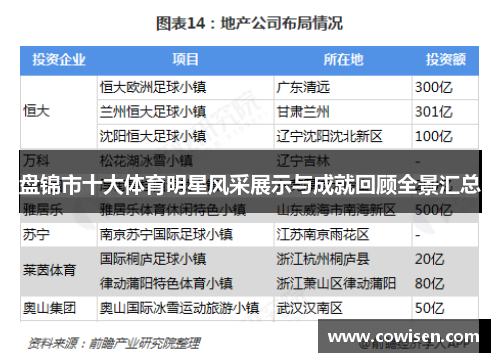 盘锦市十大体育明星风采展示与成就回顾全景汇总